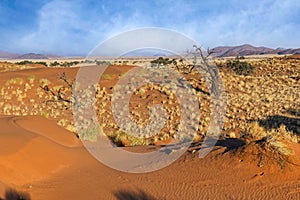 NamibRand Nature Reserve, Namib, Namibia, Africa