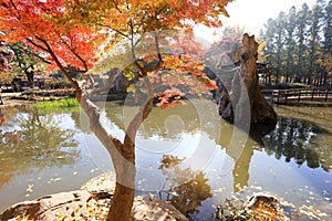 Namiseom island in autumn