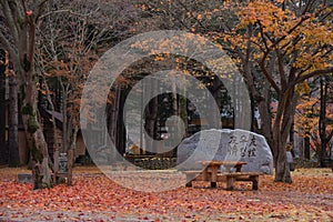 Namisum Island Korea maple Rock sign