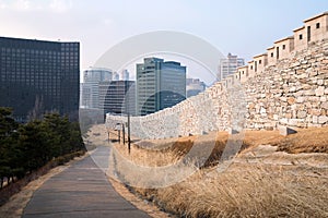 Namsan park with city buildings