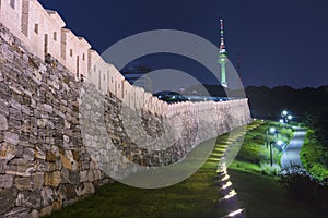 Namsan Park and N Seoul Tower