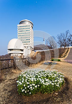 Namsan Park and N Seoul Tower