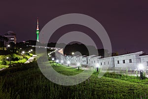 Namsan Park and N Seoul Tower