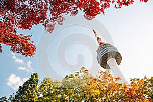 Namsan Seoul Tower with autumn maple leaves in Korea