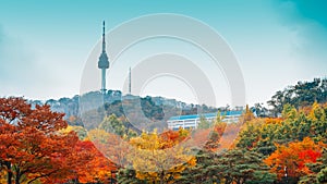 Namsan Seoul Tower with autumn maple trees in Korea