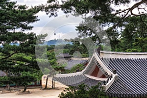 Namsan tower from changgyeonggung palace