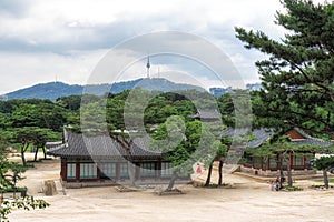 Namsan tower from changgyeonggung palace