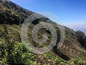 Namunukula Mountain Range at Badulla. photo