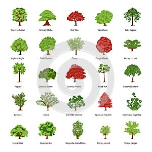 Pack of Forestland Flat Icons photo
