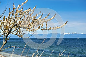 Nanaimo beach with rocky Mountains in the background at spring t