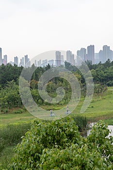 Nanchang like Lake Wetland Park