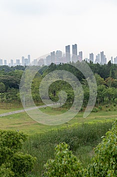 Nanchang like Lake Wetland Park