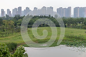 Nanchang like Lake Wetland Park