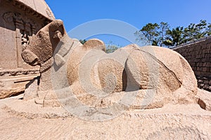 Mahabalipuram Nandhi statue in five rathas comlex photo