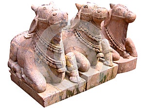 Nandi