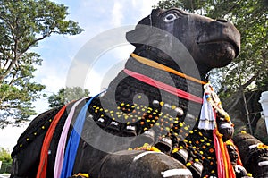 The Nandi bull on Chamundi Hill, Mysore, India