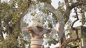 Nandi image at Varanasi near Shiv mandir