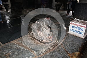Nandi statue inside the main sanctum of Hoysaleswara Temple