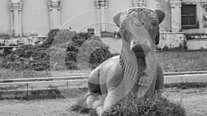 Nandi Statue inside Maratha Palace at Thanjavur