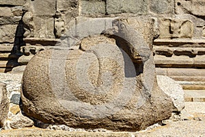 Nandi statue at the Shore Temple complex in Mamallapuram, Tamil Nadu, South India