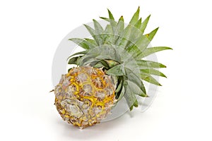 Nang Lae Pineapple