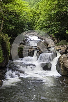 Nang Rong Waterfall, Nakhon Nayok