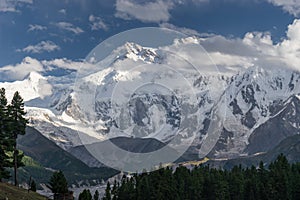 Nanga Parbat mountain massif at Fairy meadow, Chilas, Gilgit Baltistan, Pakistan photo