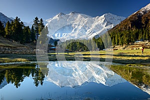 Nanga Parbat reflected in a pond at Fairy Meadows photo