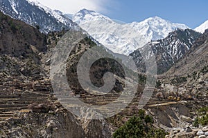 Nanga Parbat, world eighth highest mountain, Himalaya range, Chi photo