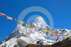 Nangkar tsang with buddhism flag from nepal photo