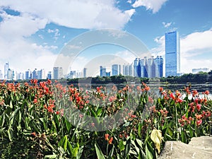 Nanhu park and coastal city buildings in nanning, guangxi, China