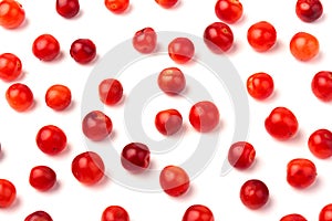 Nanking or felted cherry fruits, isolated on  white background