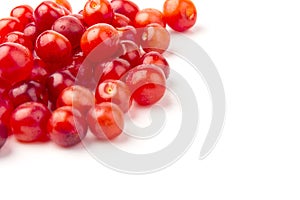 Nanking or felted cherry fruits, isolated on  white background