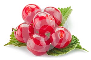 Nanking or felted cherry ftuits with leaves isolated on a white