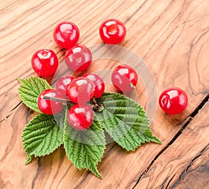 Nanking or felted cherry ftuits.