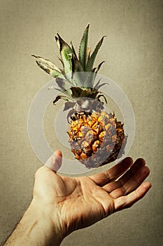 Nano pineapple. Nature and man. Food lightness.