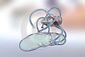 Nanobot attacking bacterium, nanotechnology medical concept