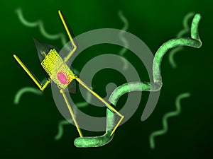 Nanobot and bacteria