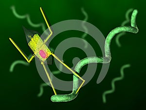 Nanobot and bacteria photo