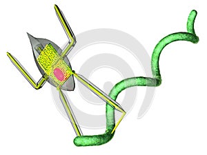 Nanobot and bacteria isolated