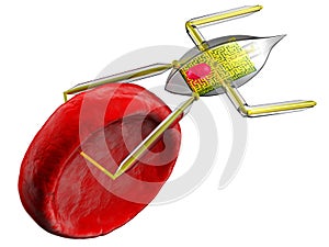 Nanobot and red blood cell isolated