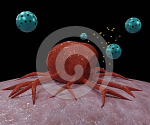 nanodrug delivery system with liposomes encapsulation cancer cell targeting photo