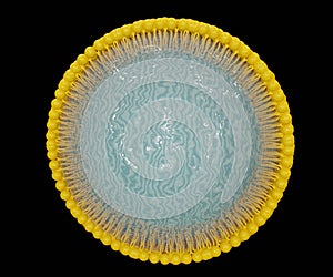 Nanoemulsions as nanoparticles with solid lipids nanoparticle outer layer