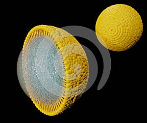 Nanoemulsions as nanoparticles with solid lipids nanoparticle outer layer