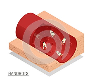 Nanorobots Blood Vessel Isometric Composition