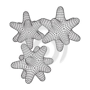 Bacteria virus wireframe mesh photo