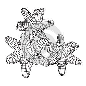 Bacteria virus wireframe mesh photo