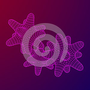 Bacteria virus wireframe mesh photo