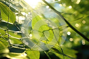 nanostructures used in artificial photosynthesis technology