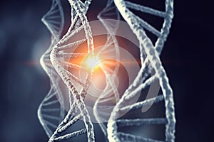 Nanotechnologies and DNA molecule research